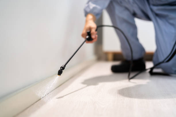 Certified termite inspector examining foundation in North Branch