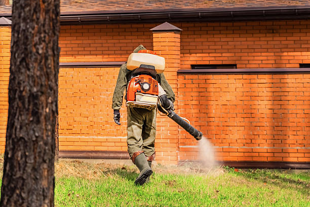 Bed Bug Clearance Verification and Documentation in North Branch